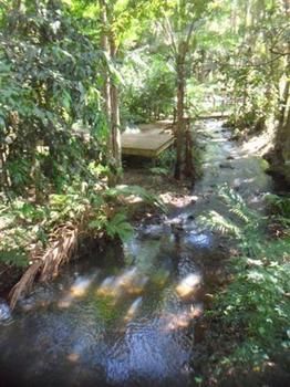 Treetops Accommodation Montville - Yamba Accommodation 0