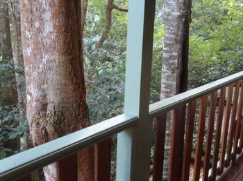 Treetops Accommodation Montville - Yamba Accommodation 9