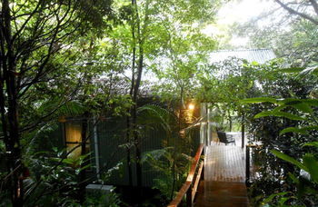 Treetops Accommodation Montville - Yamba Accommodation 12