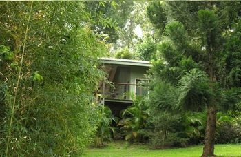 Treetops Accommodation Montville - Yamba Accommodation 13