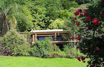 Treetops Accommodation Montville - Yamba Accommodation 14