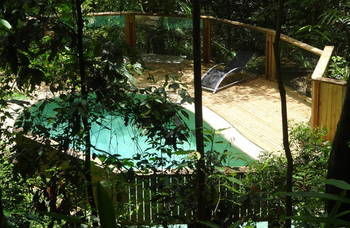 Treetops Accommodation Montville - Yamba Accommodation 16