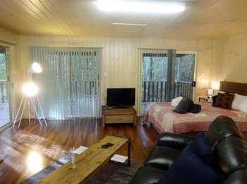 Treetops Accommodation Montville - Yamba Accommodation 19