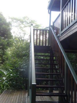 Treetops Accommodation Montville - Yamba Accommodation 21