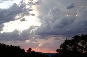 Treetops Accommodation Montville - Yamba Accommodation 26