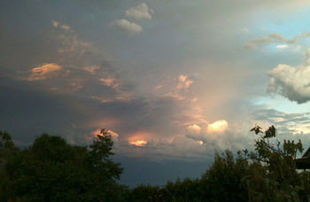 Treetops Accommodation Montville - Yamba Accommodation 27