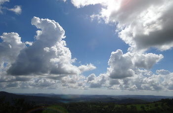 Treetops Accommodation Montville - Yamba Accommodation 28