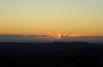 Treetops Accommodation Montville - Yamba Accommodation 29
