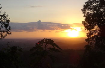 Treetops Accommodation Montville - Yamba Accommodation 30