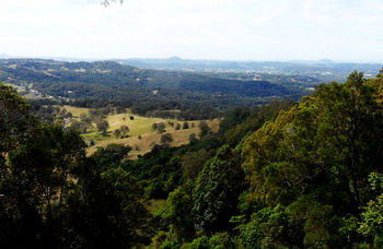 Treetops Accommodation Montville - Yamba Accommodation 31