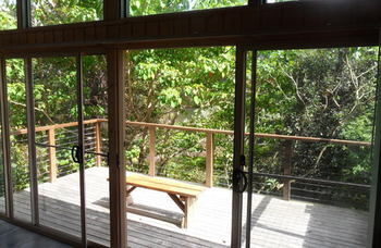 Treetops Accommodation Montville - Yamba Accommodation 51