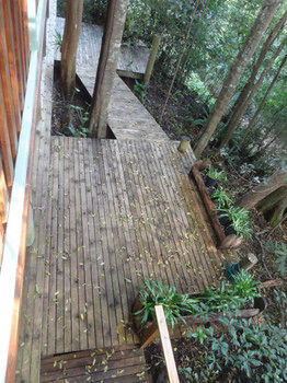Treetops Accommodation Montville - Yamba Accommodation 53