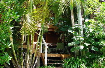 Treetops Accommodation Montville - Yamba Accommodation 54