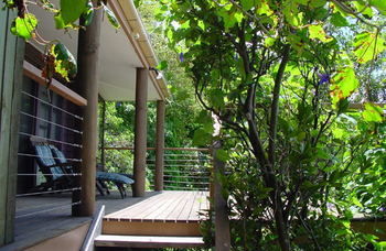 Treetops Accommodation Montville - Yamba Accommodation 59