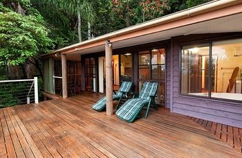 Treetops Accommodation Montville - Yamba Accommodation 61