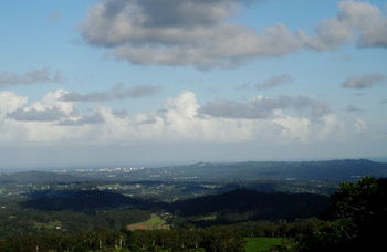 Treetops Accommodation Montville - Yamba Accommodation 63