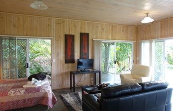 Treetops Accommodation Montville - Yamba Accommodation 64