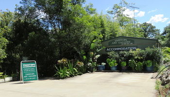 Treetops Accommodation Montville - Yamba Accommodation 67
