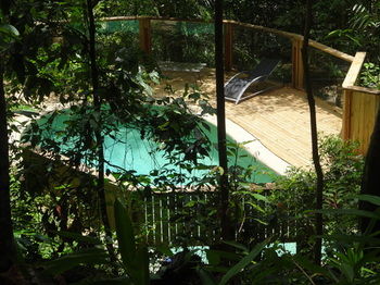 Treetops Accommodation Montville - Yamba Accommodation 74