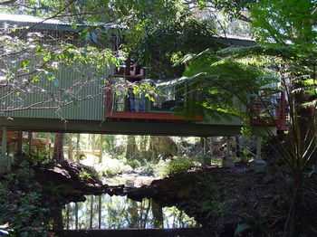 Treetops Accommodation Montville - Yamba Accommodation 87