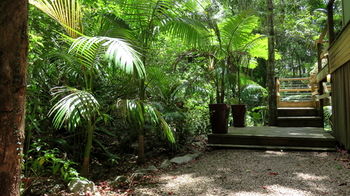 Treetops Accommodation Montville - Yamba Accommodation 89
