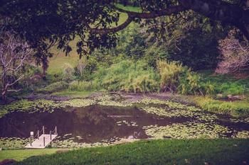 Allara Homestead - Yamba Accommodation 5