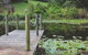 Allara Homestead - thumb 14