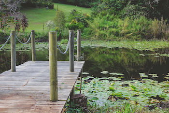 Allara Homestead - Yamba Accommodation 14