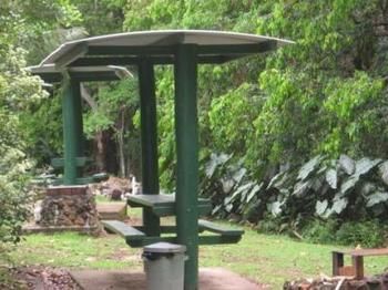 Mapleton Cabins & Caravan Park - Yamba Accommodation 1