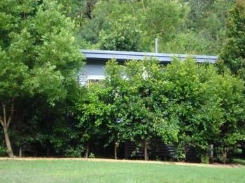 Mapleton Cabins & Caravan Park - Yamba Accommodation 12