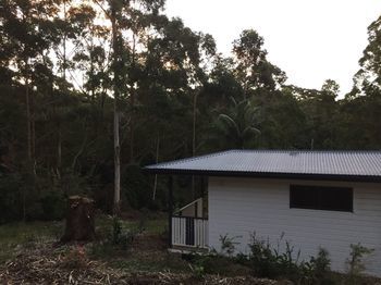 Mapleton Cabins & Caravan Park - Yamba Accommodation 19