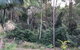 Mapleton Cabins & Caravan Park - thumb 27