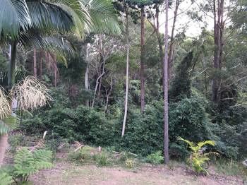 Mapleton Cabins & Caravan Park - Yamba Accommodation 27