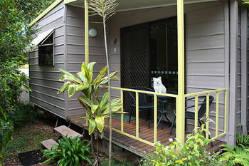 Mapleton Cabins & Caravan Park - Yamba Accommodation 32