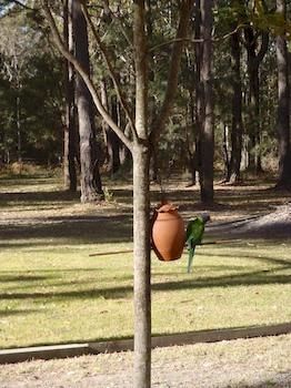 Woollamia Village Retreat - Yamba Accommodation 2