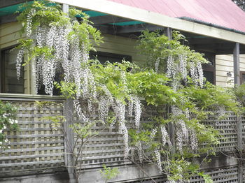 Woollamia Village Retreat - Yamba Accommodation 37