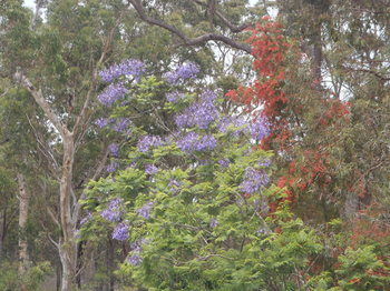 Woollamia Village Retreat - Yamba Accommodation 40