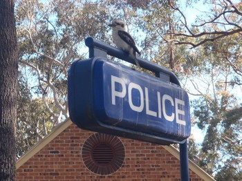 Woollamia Village Retreat - Yamba Accommodation 41