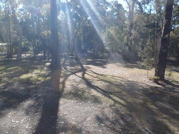 Woollamia Village Retreat - Yamba Accommodation 43
