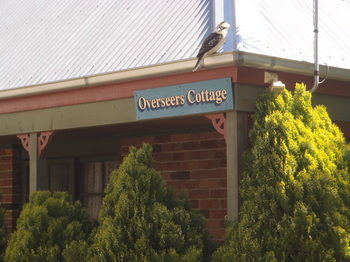 Woollamia Village Retreat - Yamba Accommodation 58