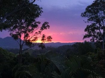 Phoenix Eumundi Bed & Breakfast - Yamba Accommodation 17