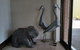 Motel In Nambour - thumb 7