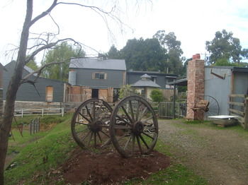A Twist Of Willow - Yamba Accommodation 16