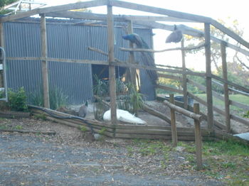 A Twist Of Willow - Yamba Accommodation 20