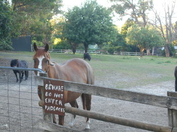 A Twist Of Willow - Yamba Accommodation 26