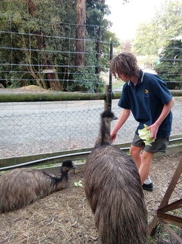 A Twist Of Willow - Yamba Accommodation 30