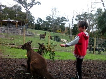 A Twist Of Willow - Yamba Accommodation 32