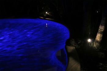 Alaya Escape - Yamba Accommodation 34