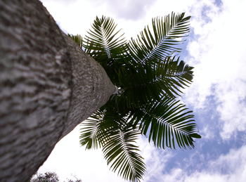 Alaya Escape - Yamba Accommodation 39