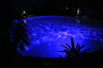 Alaya Escape - Yamba Accommodation 42